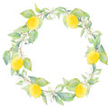 Image Not Available